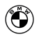 BMW Icon